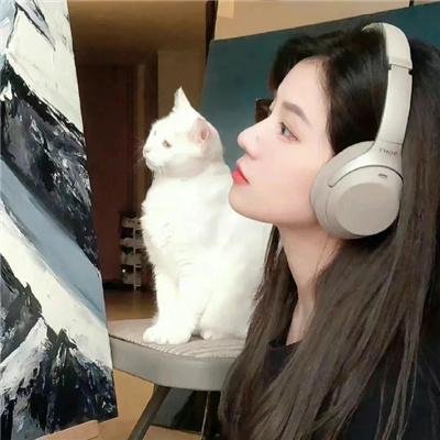 执法风云